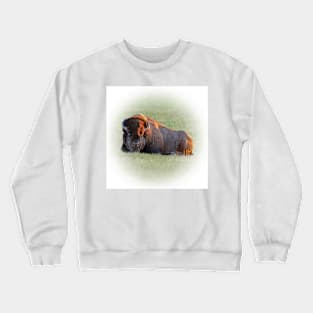 Lying bison Crewneck Sweatshirt